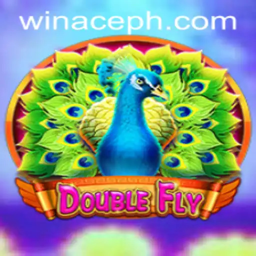 DoubleFly: The Exciting World of Airborne Adventures